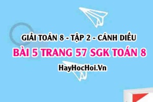 Bài 5 trang 57 Toán 8 Tập 2 Cánh Diều